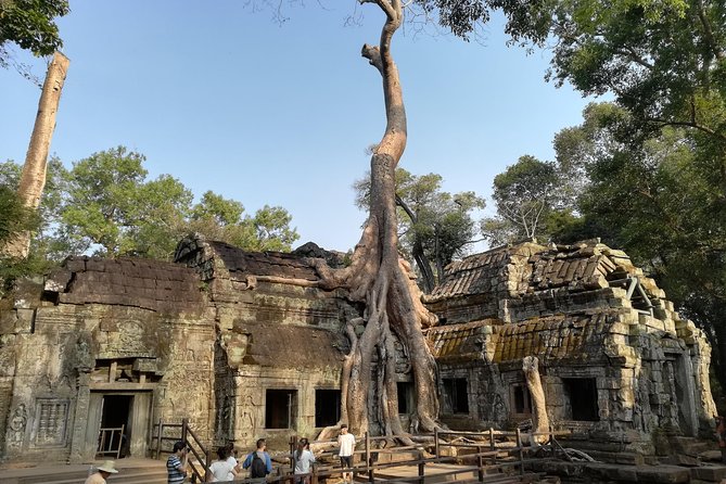Angkor Wat Small Circuit Tour - Price and value: $47.44 tour fee plus the $37 Angkor Pass