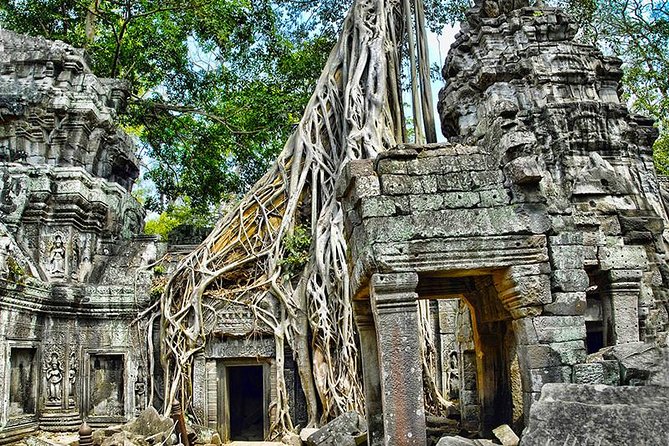 Angkor Wat Small-Group Exploration with Expert Guide - Temple stop 4: Ta Prohm—state of ruin, state of beauty