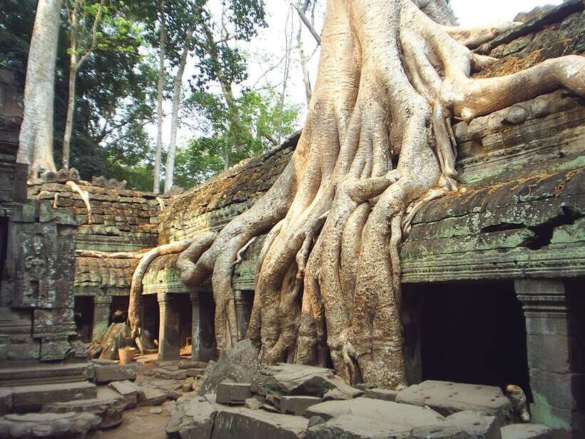 Angkor Wat: Small-Group Tour with Balloon Ride and Lunch - A 7-hour Angkor day with temples plus a short balloon lift