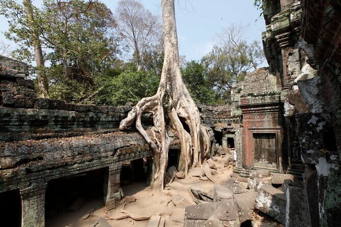 Angkor Wat & Small Tour with Bonteay Srei Temples - Price and Tickets: Why $38 Is Only Part of the Story