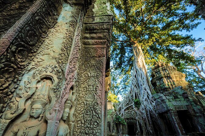 Angkor Wat Sunrise & All Highlight Angkor Temple Private Day Tour - South Gate and Bayon: the switch from icon to character