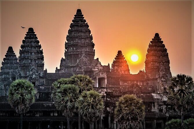 Angkor Wat Sunrise & All Highlight Angkor Temple Private Day Tour - Ta Prohm and the tree-temple atmosphere: where the day turns cinematic