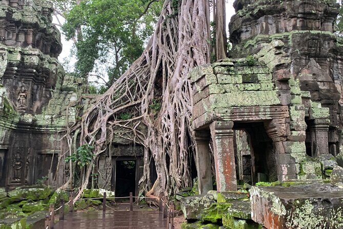 Angkor Wat Sunrise and Angkor Thom Sunset Tour - Price and real costs: $59 tour plus Angkor Pass and lunch