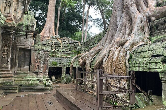 Angkor Wat Sunrise and Tonle Sap Cruise Sunset Tour - One Day, Two Icons: Angkor Wat Dawn to Tonle Sap Sunset