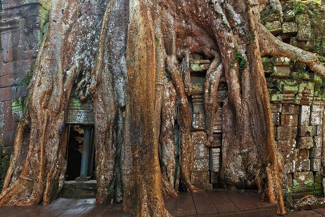 Angkor Wat Sunrise or Sunset Tour with Guide from Siem Reap - Angkor Wat stop: the “main stage” with Terrace of the Elephants