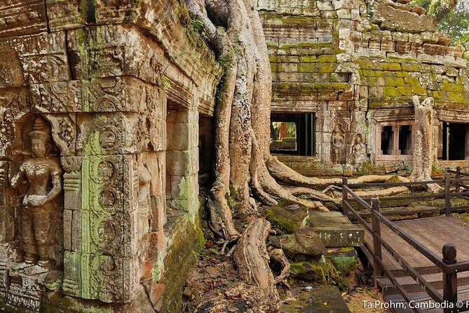 Angkor Wat Sunrise or Sunset Tour with Guide from Siem Reap - Ta Prohm: the jungle temple with tree roots on the stones
