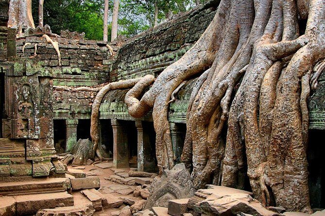 Angkor Wat Sunrise or Sunset Tour with Guide from Siem Reap - The full 8-hour structure: how it feels in practice