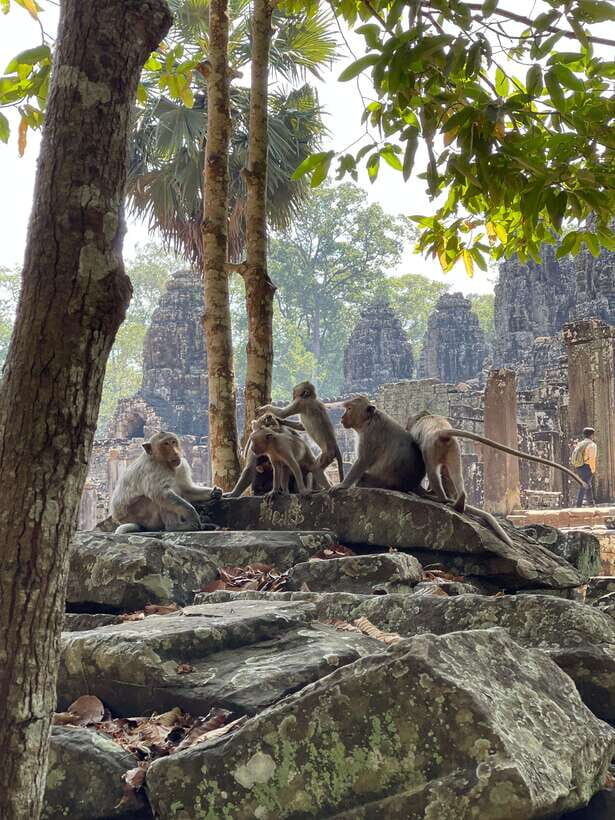 Angkor Wat Sunrise Private Full Day Tour - Srah Srang and breakfast near the temples (45 minutes)