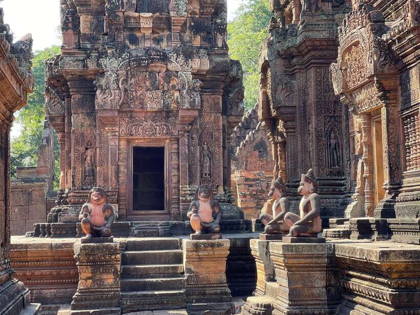Angkor Wat Sunrise Private Full Day Tour - Ta Prohm: a one-hour walk through tree-root drama