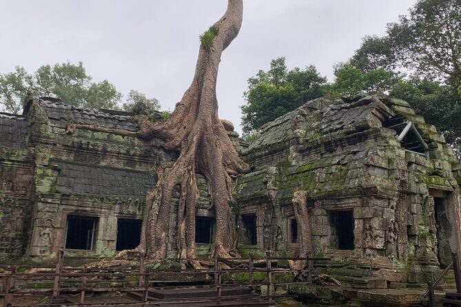 Angkor Wat Sunset TUK TUK Tour - The Real Costs: Tour Price vs the One-Day Angkor Pass