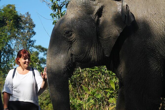Angkor Wat Temples & Kulen Elephant Forest Day Tour - Key Things I’d Prioritize on This Tour