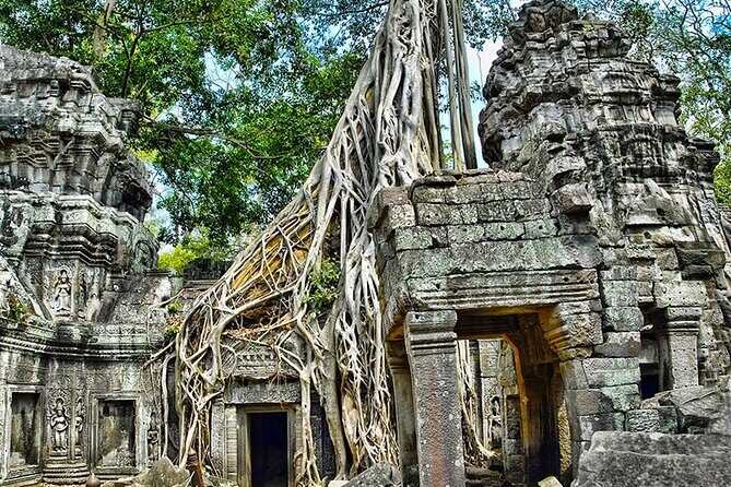 Angkor Wat Temples & Kulen Elephant Forest Day Tour - Transport and Comfort: Air-Conditioned Minivan and Cold Water Stops