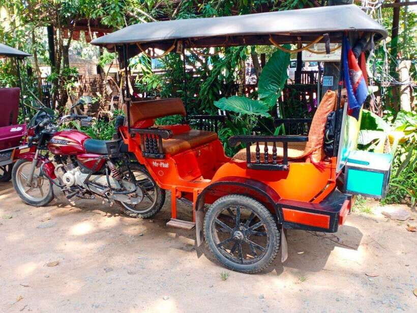 Angkor Wat Tour by Tuk-Tuk with English Speaking Driver - Ta Prohm: Where the Jungle Changes the Temple