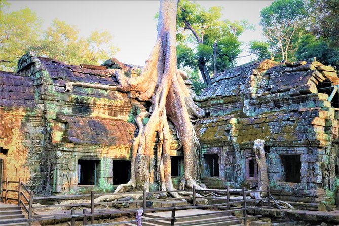 Angkor World Heritage with Sunrise - Small Group - Tickets, meals, and what the $19 price really means