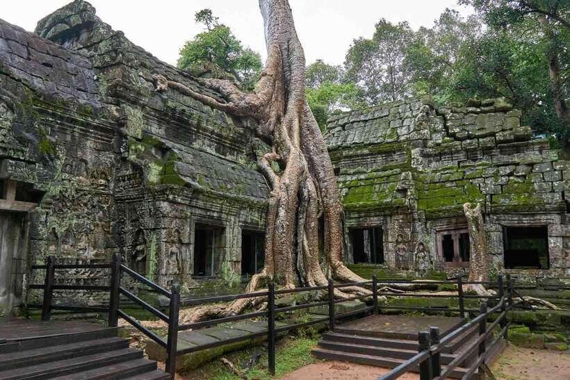 Angkor Zipline and Temple Tour with Sunset - Starting the day at 07:30: getting to the South Gate right