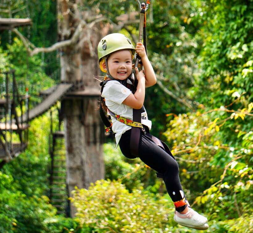 Angkor Zipline Eco-Adventure Canopy Tour - Orchid House Check-In: What Happens Before You Fly