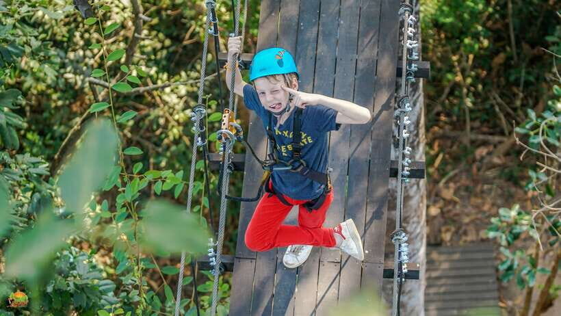 Angkor Zipline Eco-Adventure Canopy Tour - Gold Course vs Silver Course: How the Line Count Changes Your Time