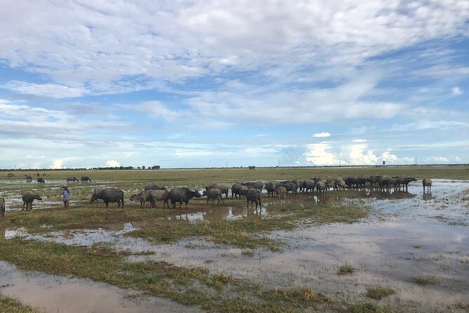 Authentic Cambodian Countryside Jeep Experience - Drinks, snacks, and the sunset moment over rice fields