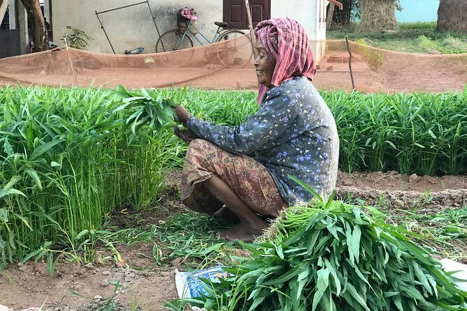 Authentic Cambodian Countryside Jeep Experience - Morning swap: bamboo sticky rice and rice noodle making