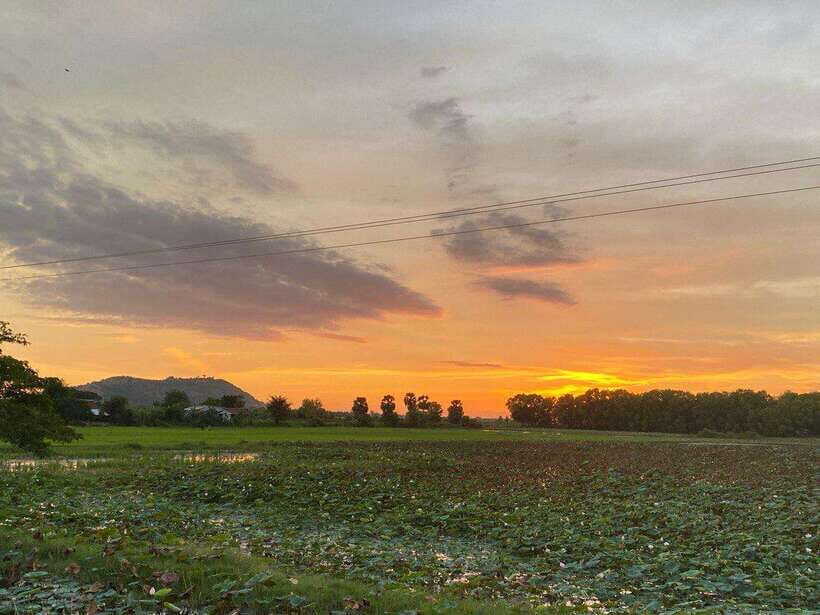 Authentic Siem Reap: Tuk Tuk Countryside and Sunset Tour - A tuk tuk half-day that feels like Cambodia, not a checklist
