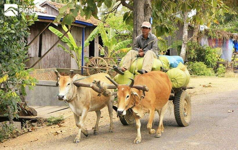 Back to Basics: Siem Reap Village Tour in Cambodia - Boat Ride or Not: The Seasonal Water Factor
