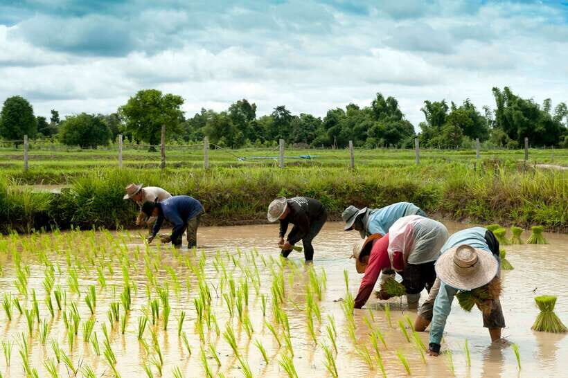 Back to Basics: Village Life Tour from Siem Reap - Key Highlights You’ll Care About