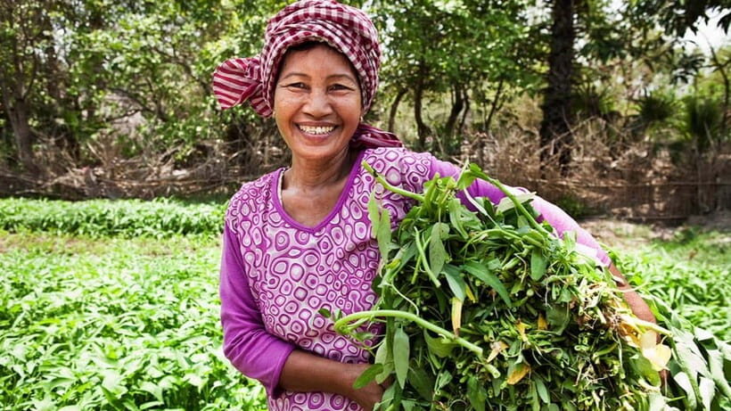 Back to Basics: Village Life Tour from Siem Reap - Walking the Village: Firewood, Water, Weaving, and Rice Wine