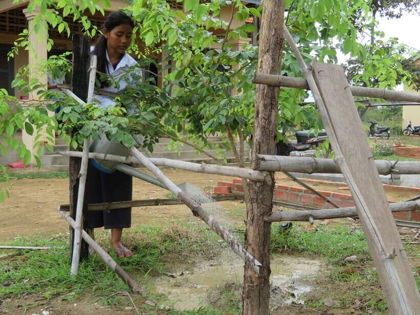 Back to Basics: Village Life Tour from Siem Reap - Meet Your Insider Guide and Get the Real Explanations