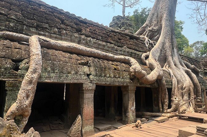 Bangkok to Angkor Wat 2 Days 1 Night by Flight - Getting Your Cambodia Visa and Flights Sorted (Without Panic)