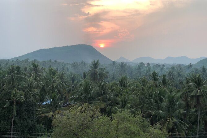 Battambang Private afternoon tour bamboo train bat cave & village - A 1:00 pm Half-Day That Actually Feels Like a Day Out