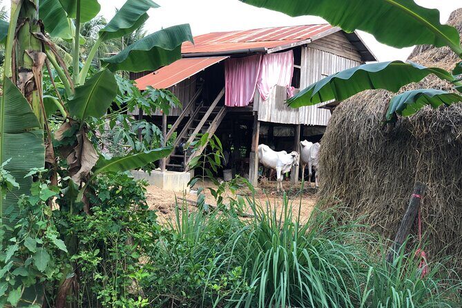 Battambang Private afternoon tour bamboo train bat cave & village - Battambang Country Drive: Tuk Tuk Time With Real Village Rhythm