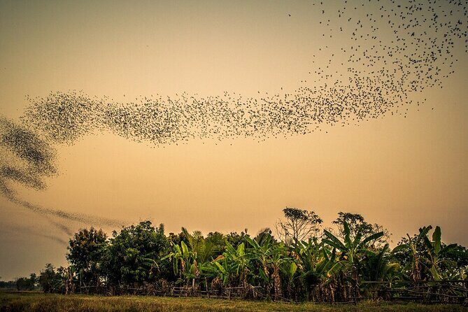 Battambang Tuk Tuk tour: Bambootrain, Killing & Bat Caves,Sunset - The Big Idea: One Ride, Three Battambang Experiences