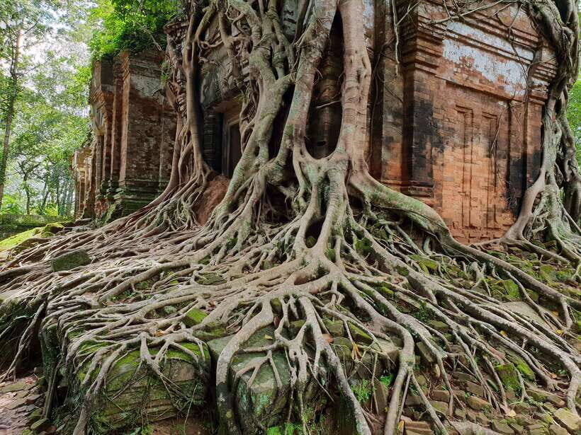 Beng Mealea, Koh Ker & Floating village Day Tour - How the Day Flows: Timing, Breaks, and Realistic Expectations