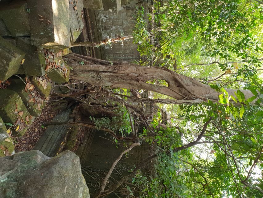 Beng Mealea, Koh Ker & Floating village Day Tour - Guide Quality: What Makes the Difference on Remote Sites