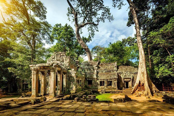 Best of Siem Reap 3-Day Private Tour to Angkor Wat & Tonle Sap - Day 3: Tonle Sap Lake, Birds, and the Fishing Village on Stilts