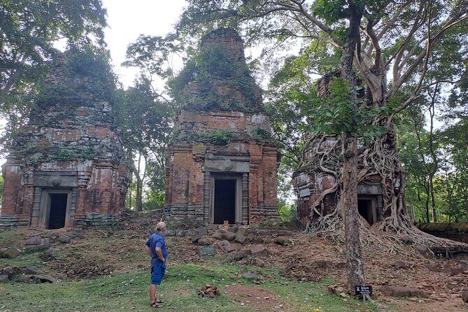 Bird Watching at Tonle Sap Forest and Lotus Farm Siem Reap - Transportation Comfort and What to Expect on the Ground