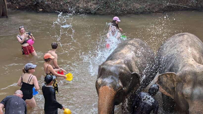 Cambodia Elephant Sanctuary Include Hotel Transfer Roundtrip - Muddy bath and close encounters: what you should be ready for