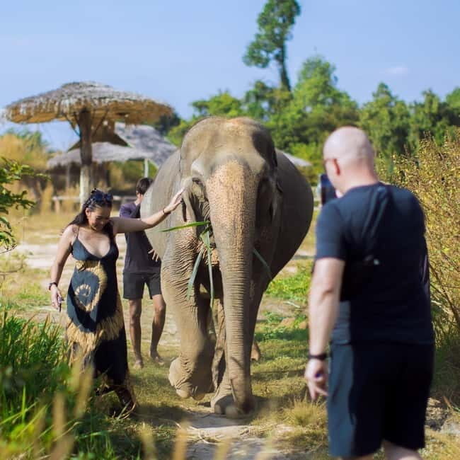 Cambodia Elephants Haft Day Experiences from Siem Reap - At the elephant site: the sanctuary intro and mission talk
