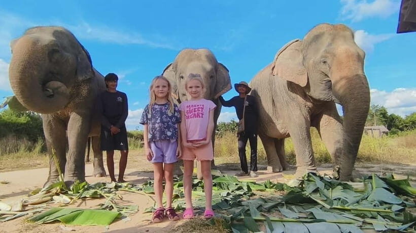 Cambodia Elephants Haft Day Experiences from Siem Reap - Getting there from Siem Reap: the van ride that starts the day
