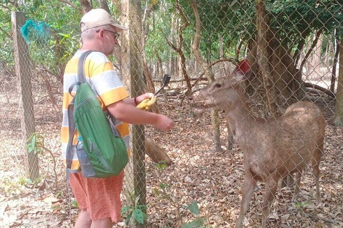 Cambodia Wildlife Sanctuary and Countryside Tour - Phnom Tamao’s behind-the-scenes rescue tour: what you’re really paying for