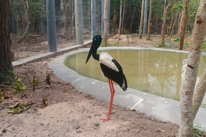 Cambodia Wildlife Sanctuary and Countryside Tour - Price and value: what $159 buys you for wildlife, lunch, and a temple viewpoint