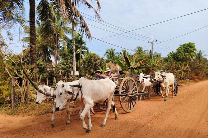 Cambodian Cooking Class and Oxcart Ride with Local Village Tour - Price and Value: Is $94.05 Worth It?