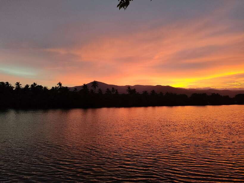 Countryside tours include pepper plantations - A Half-Day Tuktuk Loop Through Kampot’s Salt Fields and Caves