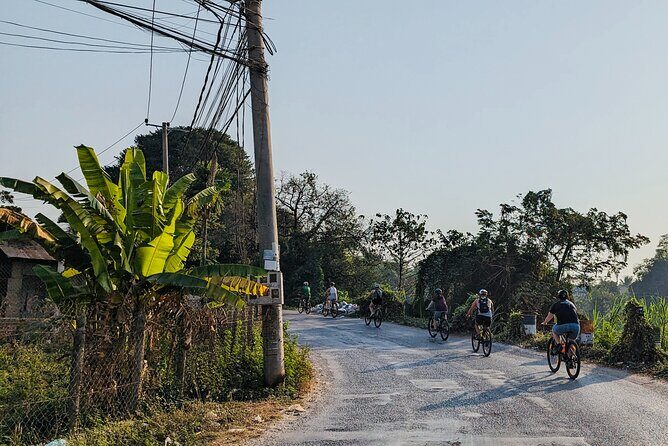 Customs and Culture Half Day Walk and Bike Tour in Battambang - Lunch with a local family: where “support” turns into something tangible