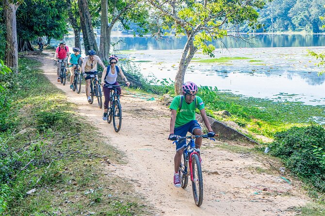 Cycle the Angkor Backroads with lunch / E-Bike or Tuk Tuk - Bayon Temple and Angkor Thom gate: faces, elephants, and first momentum
