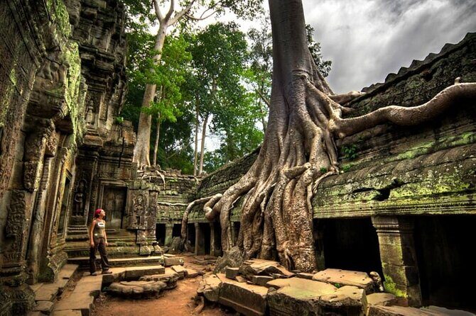 Day trip Phnom Penh to Siem Reap & Return back - Ta Prohm: when the ruins feel alive