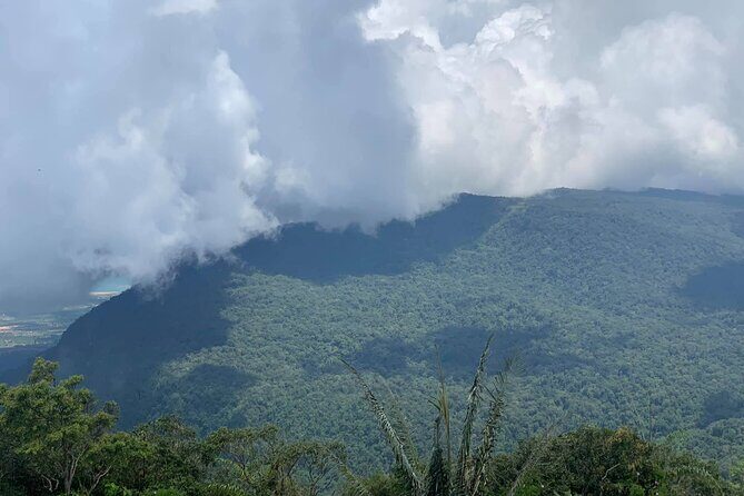 Discover Bokor National Park - Scooter Trails: what the guide quality and small group size mean for you