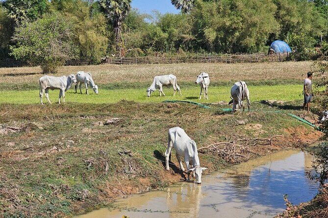East Corner of Siem Reap - Roluos Group & Countryside - Village welcomes and meeting rural kids