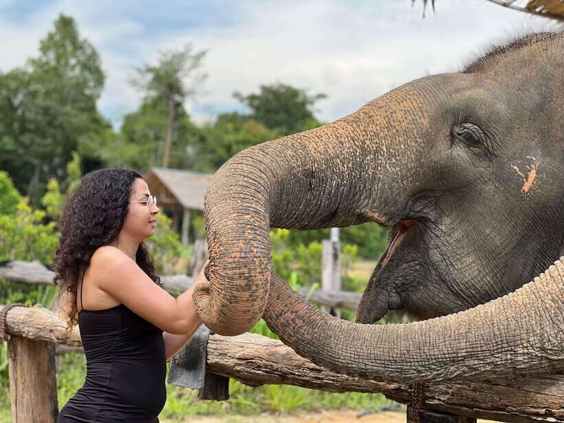 Elephant Sanctuary Cambodia, Pickup and drop off included - Handmade Elephant Snacks: Feeding That Teaches More Than It Performs
