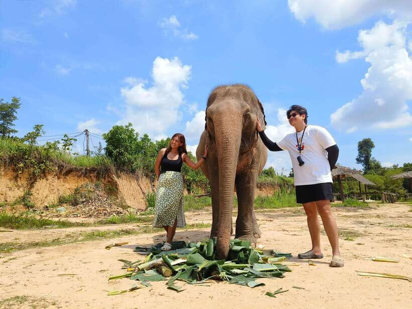 Elephant Sanctuary Cambodia, Pickup and drop off included - Mud Bath Time: Why This Mess Is Actually Good Care